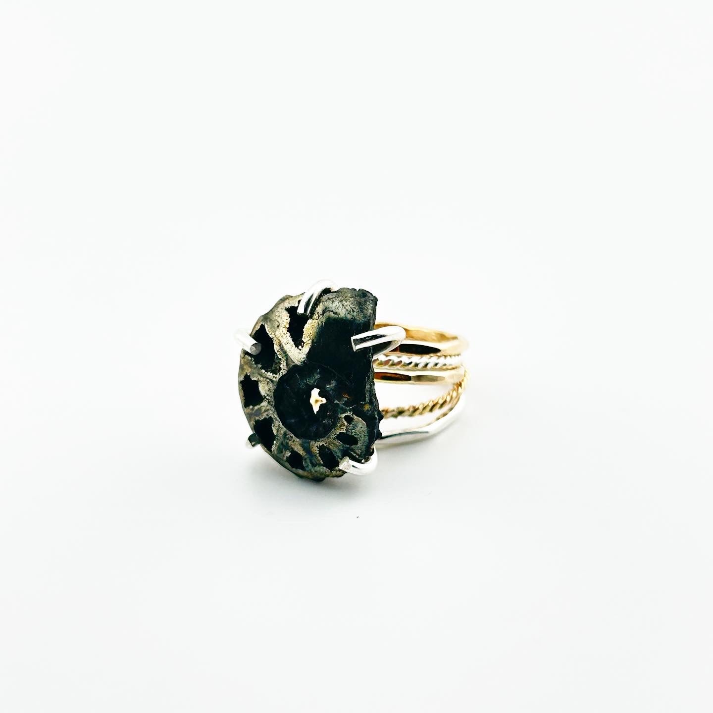 The Pyrite Ammonite Sea Stacking Ring Set - Jennifer Cervelli Jewelry