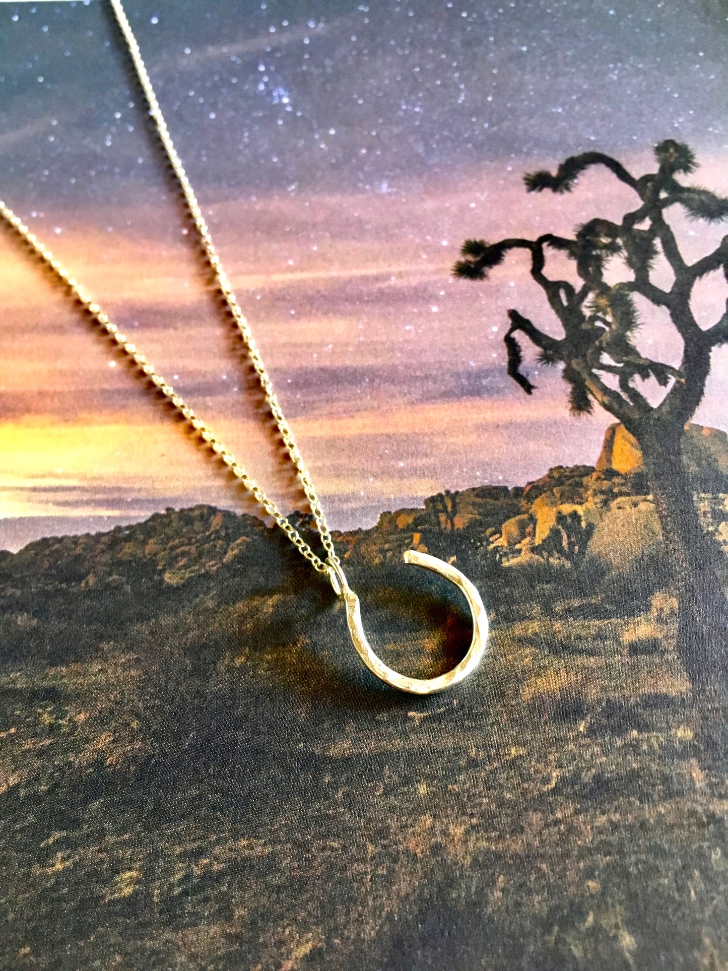 Hanging Lucky Horseshoe Charm Necklace - Jennifer Cervelli Jewelry